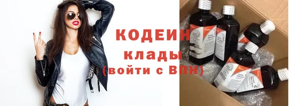 прущие грибы Тутаев