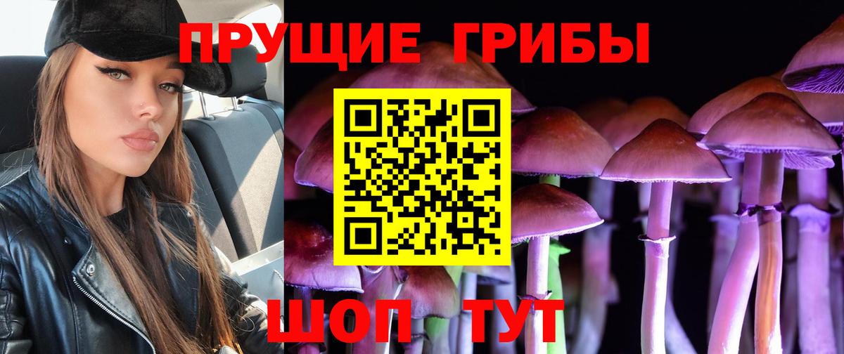 Псилоцибиновые грибы прущие грибы  Галлюциногенные грибы мухоморы  Городец  Вход с VPN 
